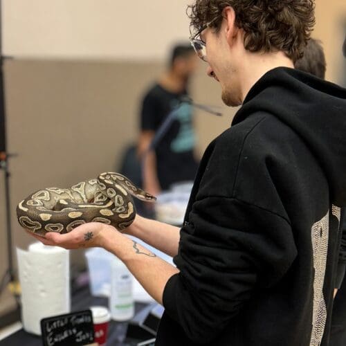 A person holding a large snake