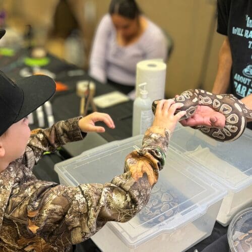 A child touching a snake someone is holding out to them