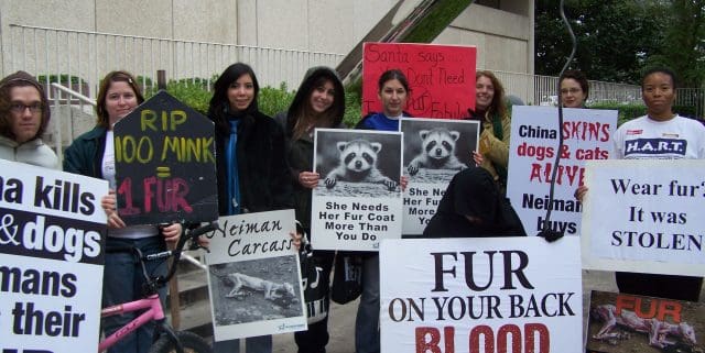 Are women and young people the best hope for fighting animal cruelty? –  Vancouver Humane Society
