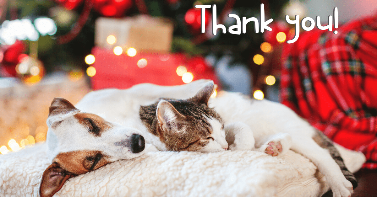 Thank you for helping us help animals in 2019! – Vancouver Humane Society