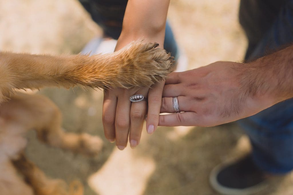 two-person-with-rings-on-ring-fingers- and dog, all putting hands/paw together
