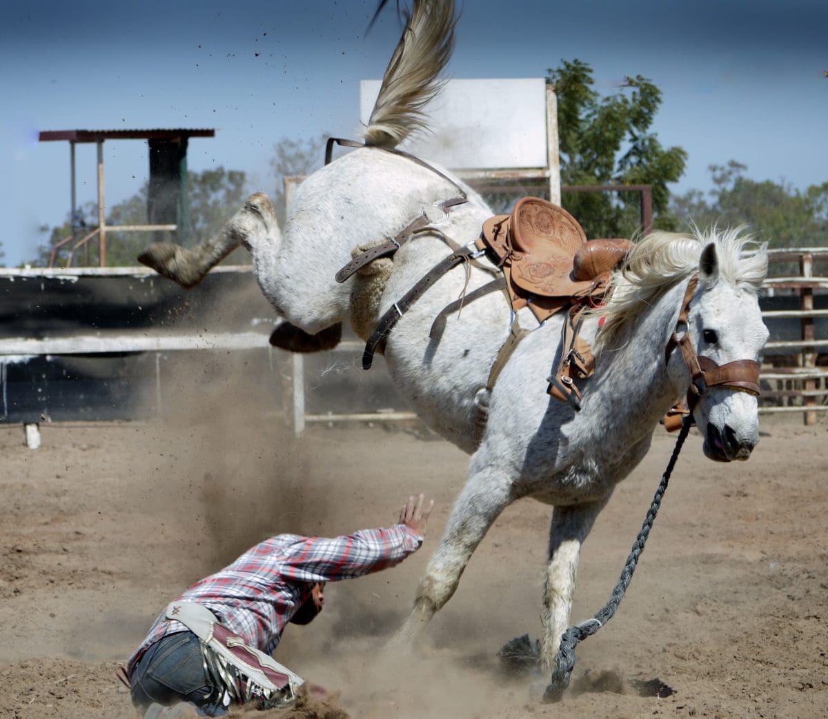 A horse bucks a rider off during an inhumane bronc riding rodeo event