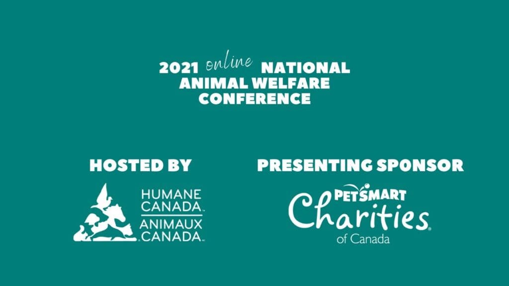 VHS to present research at the National Animal Welfare Conference