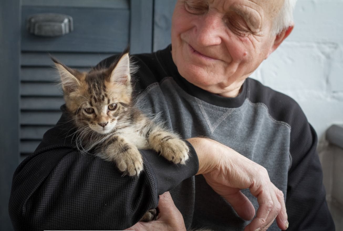 An elderly man holds a cat; companion animals are an important part of many Canadian families