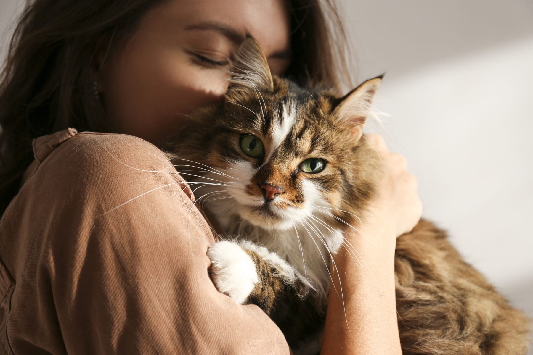 A woman holds a cat