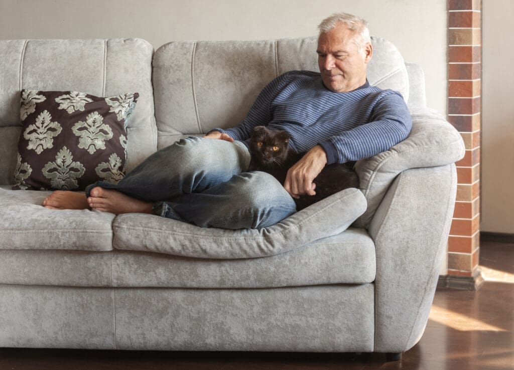 A cat sits in their guardian's lap on the couch