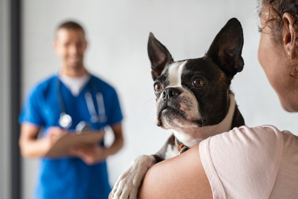 A person carries a dog toward a veterinarian's office for a regular check-up