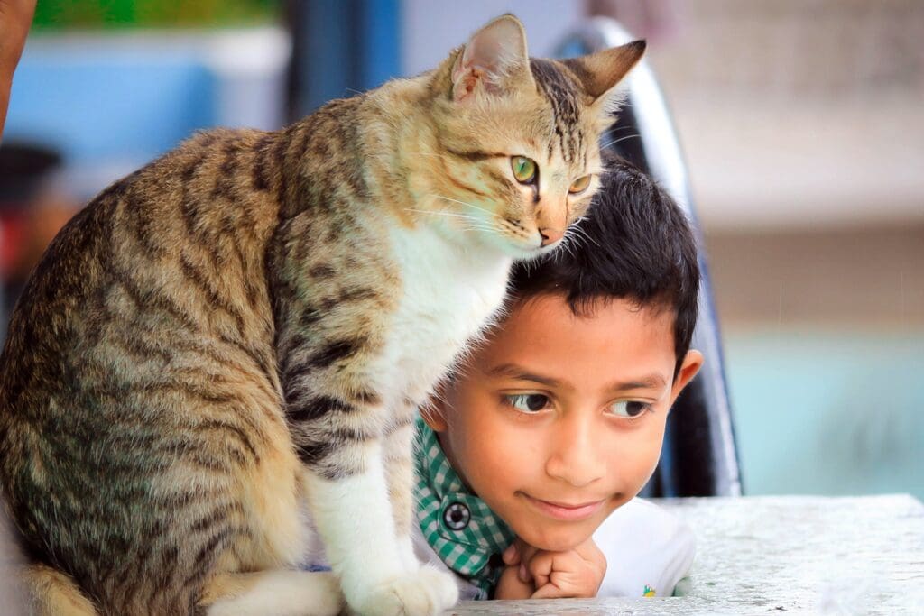 A child and cat sit on the bed together.