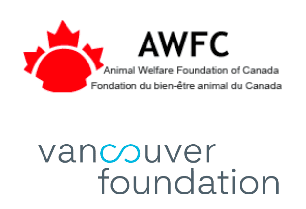 New report: Helping people and animals together – Vancouver Humane Society