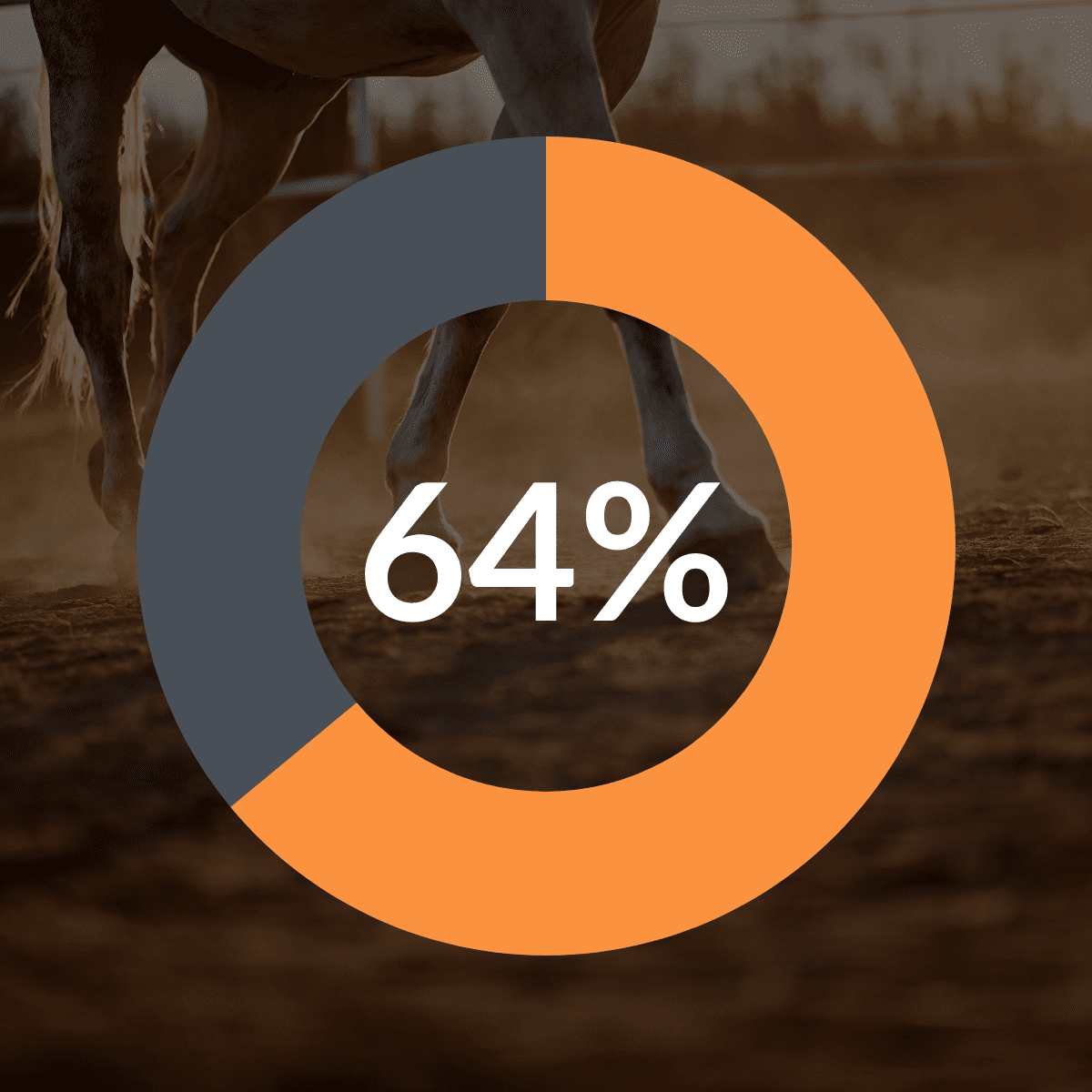 A pie chart showing 64% over a faded background of a horse's legs