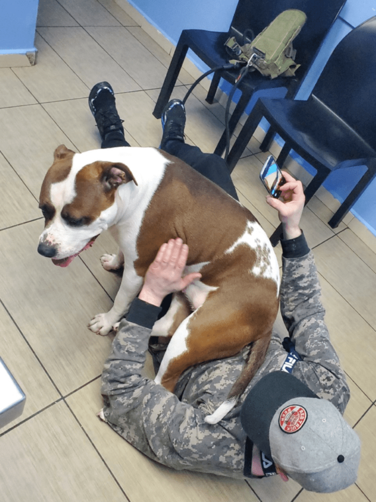 Abigail the dog sits on her guardian at the vet clinic after receiving treatment for serious wounds.