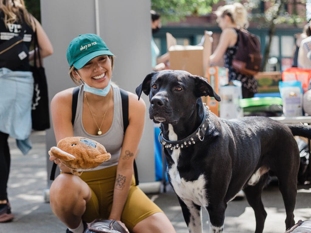 A person holds out a toy to a dog wearing a collar.