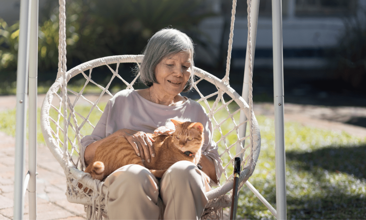 A woman holds a cat on her lap in a backyard swing.