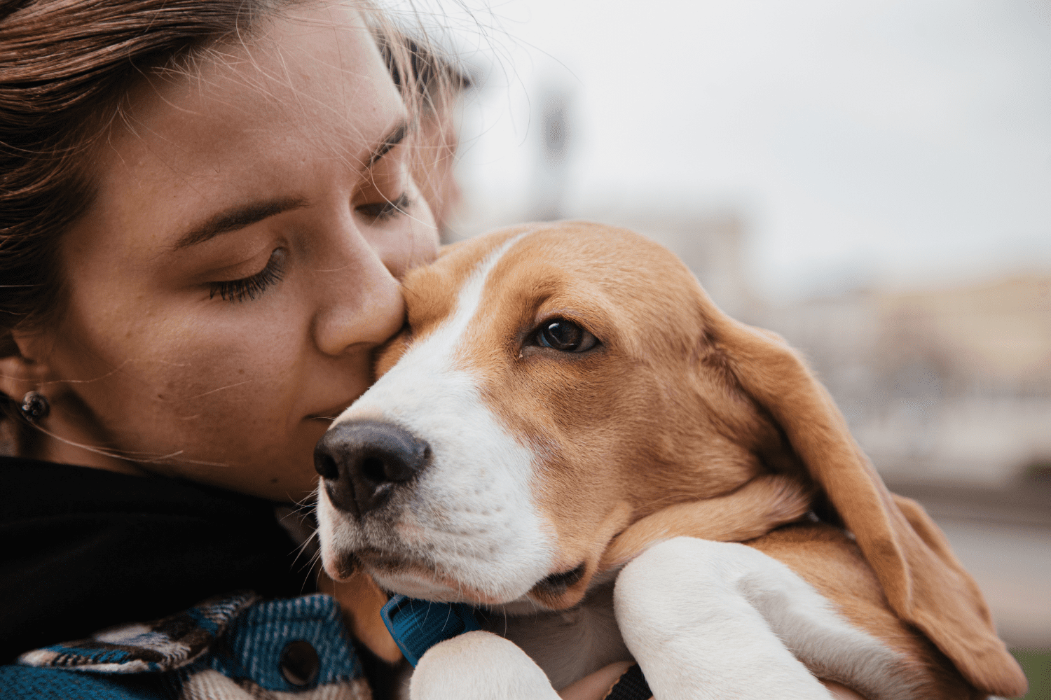 A close up photo of a person holding and kissing a dog