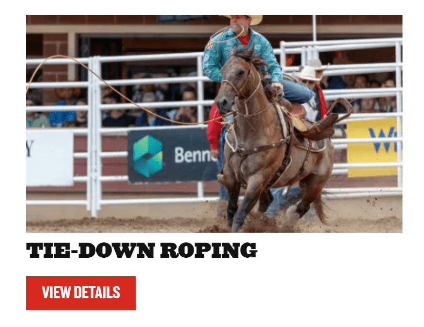 A screenshot from the Calgary Stampede website shows the listing for "tie-down roping" with no calf visible