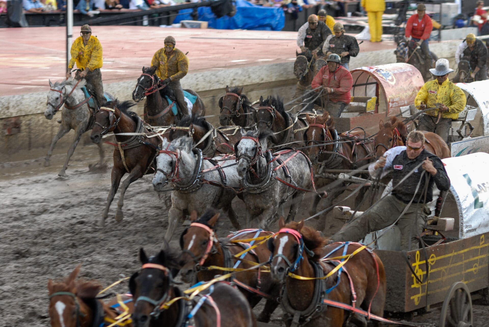 Chuckwagon racing at The Calgary Stampede