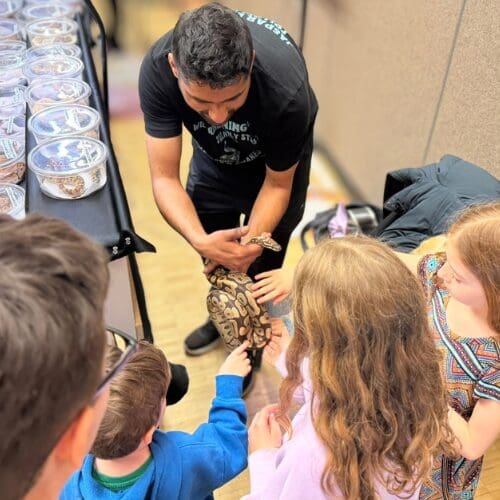 A person holding a snake and showing to a group of children to touch