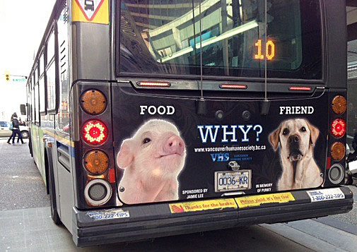 Photo of "Food, Friend, Why?" bus back advertisement