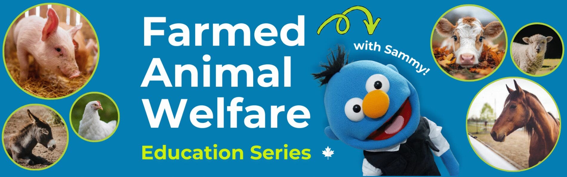 Farmed Animal Welfare Education Series​ (with Sammy!)