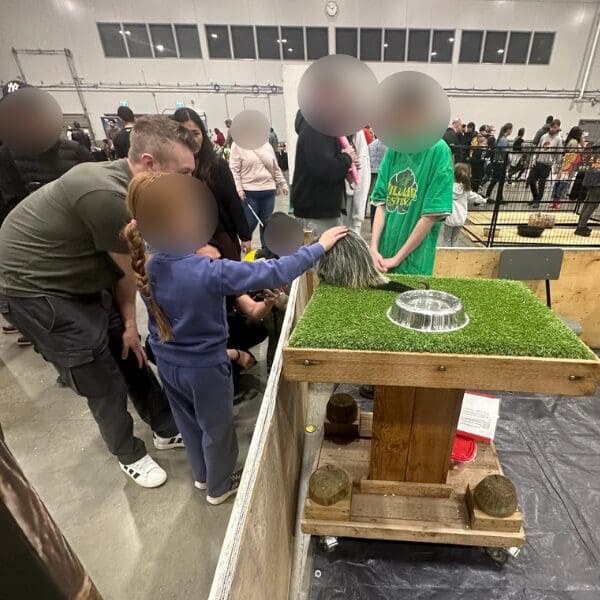 Children petting a porcupine in an open enclosure