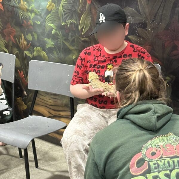 A child sitting in a chair while holding a lizard