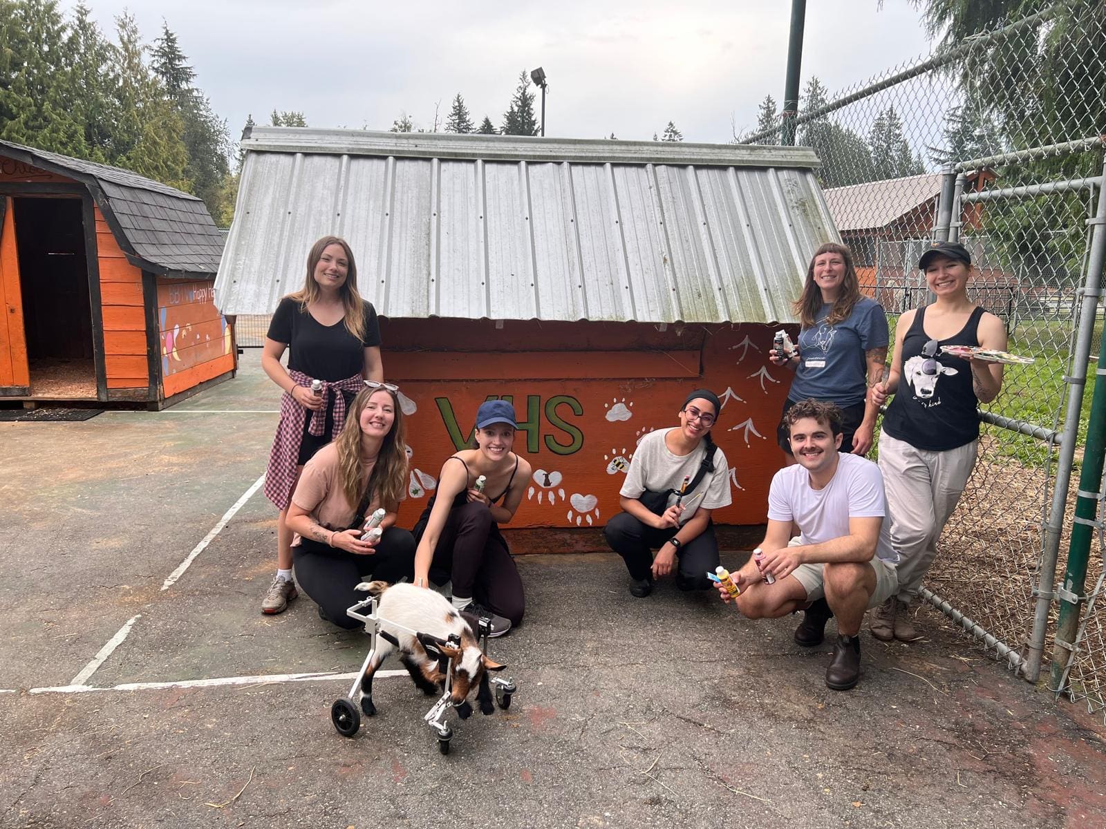 The VHS staff hold paintbrushes and pain in front of a newly painted chicken coop with animal prints and the VHS logo. A baby goat in a wheelchair in the foreground.