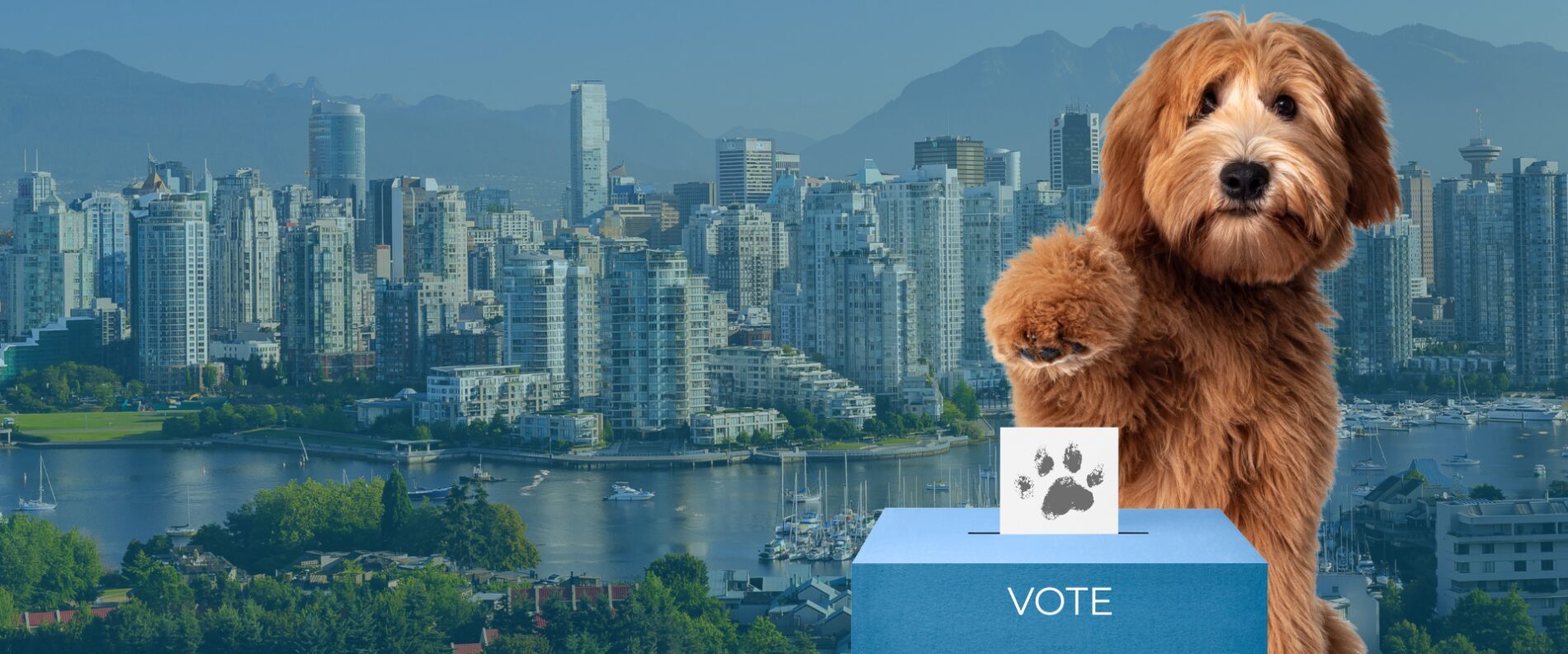 ballot box header (1920 x 800 px)