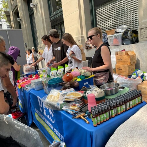 The Because They Matter event participants helped table visitors find the pet supplies they needed for their beloved companions.