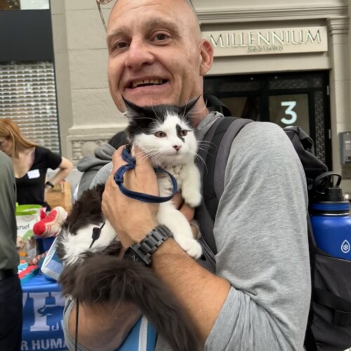 Bill told us that his cat Angel saved his life. He also said that Angel provides comfort to a lot of the folks on the DTES.