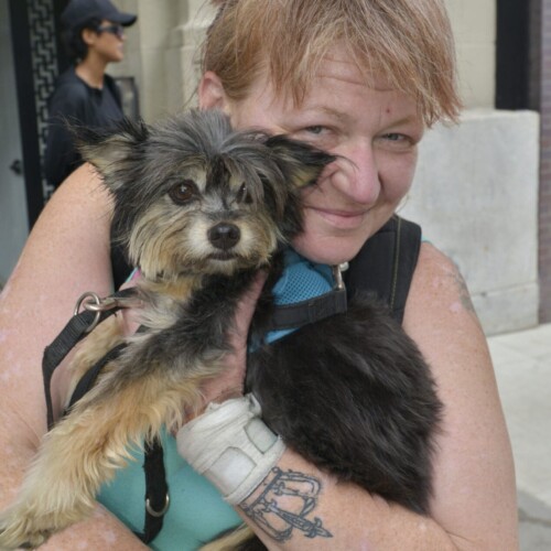 Heather and Hazel, a lovely 14-year-old rescue dog.