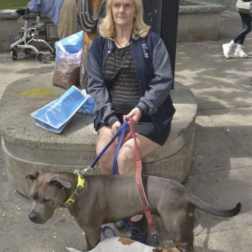 Joanne and dogs Lily-Pilly and Trixie.