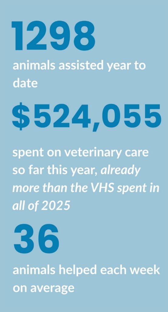 mcvitie stats